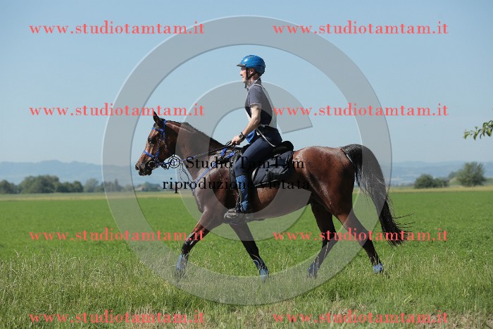 MAT_9608.JPG