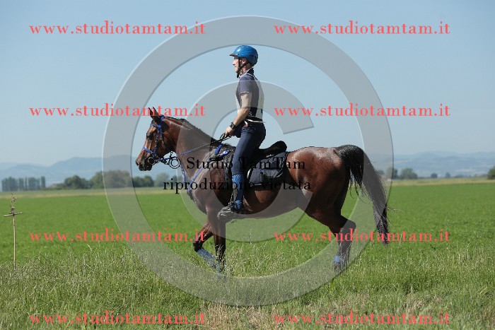 MAT_9609.JPG