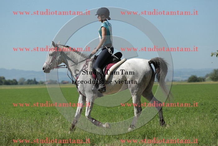 MAT_9612.JPG