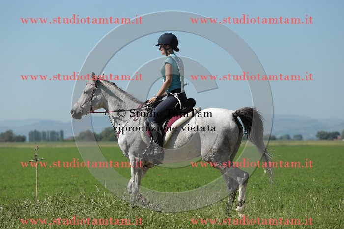 MAT_9614.JPG