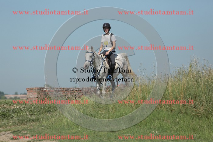 MAT_9615.JPG