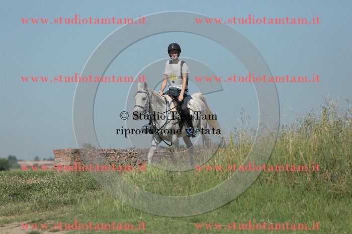 MAT_9616.JPG
