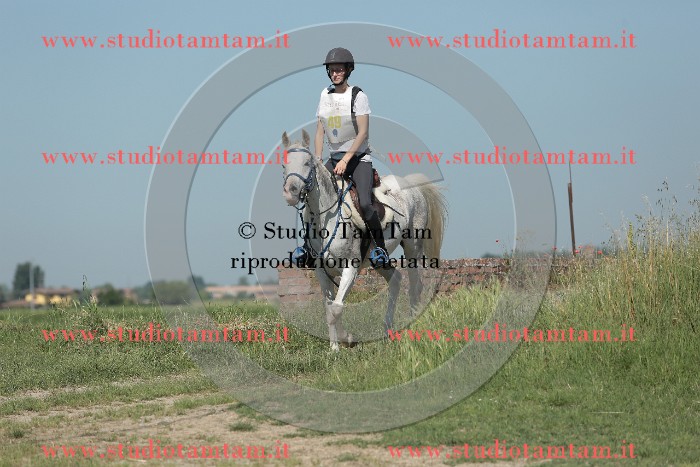 MAT_9617.JPG