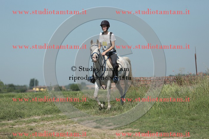 MAT_9619.JPG