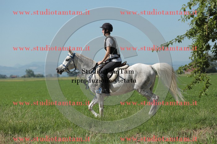 MAT_9625.JPG