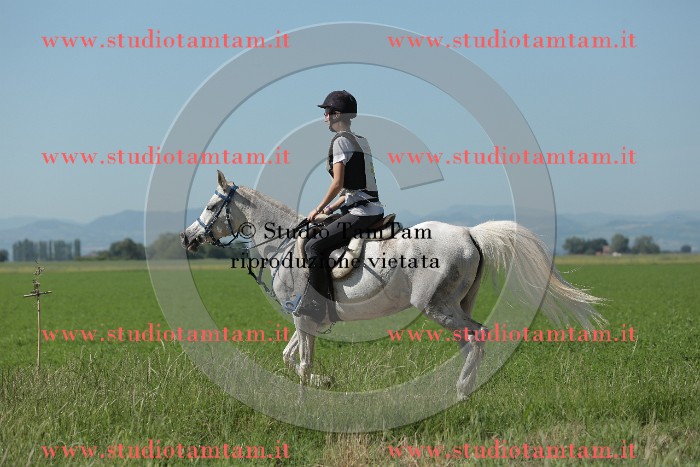 MAT_9628.JPG