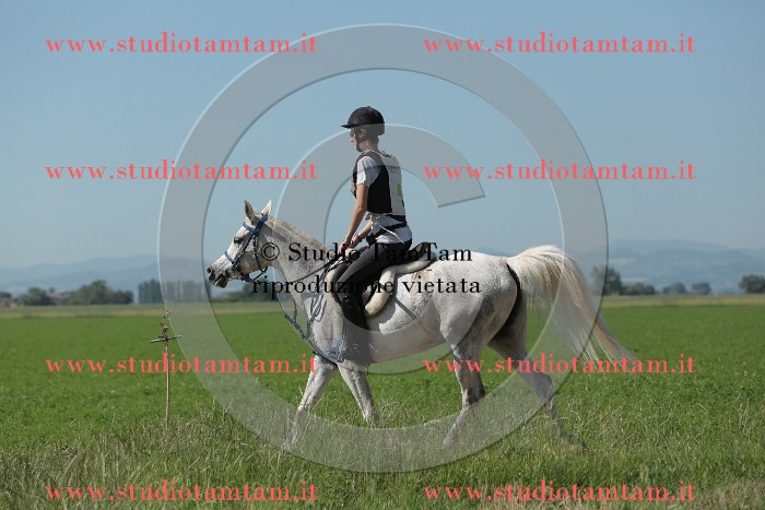 MAT_9629.JPG