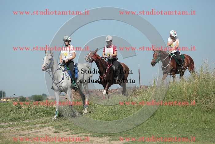 MAT_9631.JPG