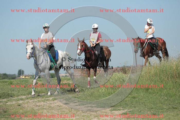 MAT_9632.JPG