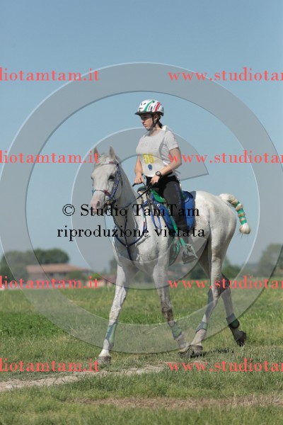 MAT_9635.JPG