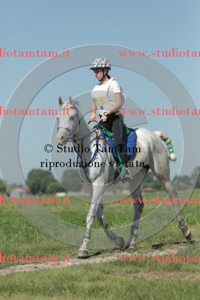 MAT_9637.JPG