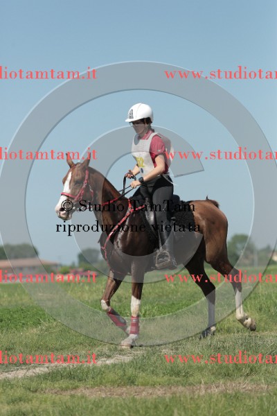 MAT_9638.JPG