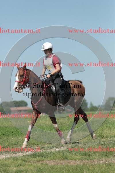 MAT_9639.JPG