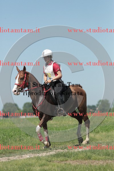 MAT_9640.JPG