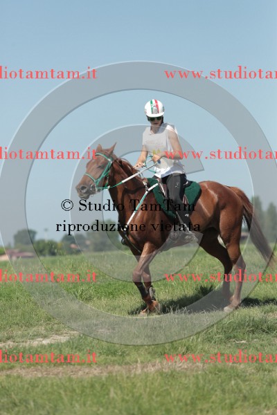 MAT_9642.JPG