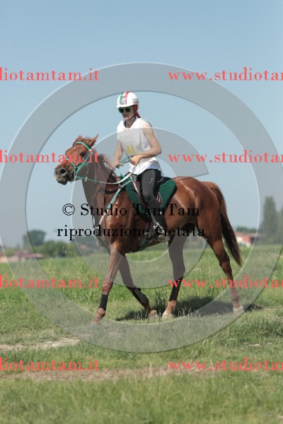 MAT_9643.JPG