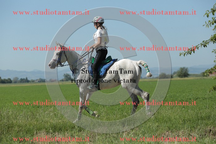 MAT_9646.JPG
