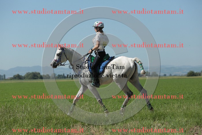 MAT_9647.JPG