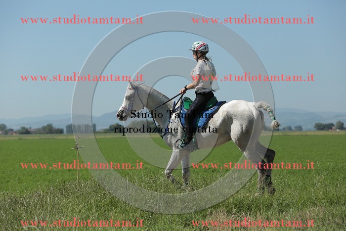 MAT_9648.JPG