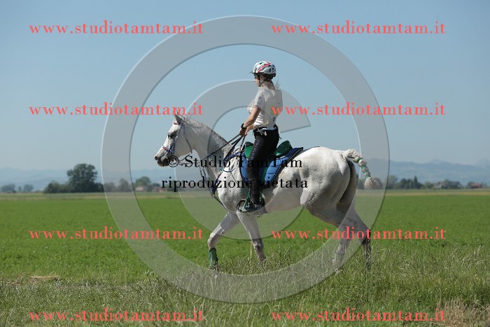 MAT_9650.JPG