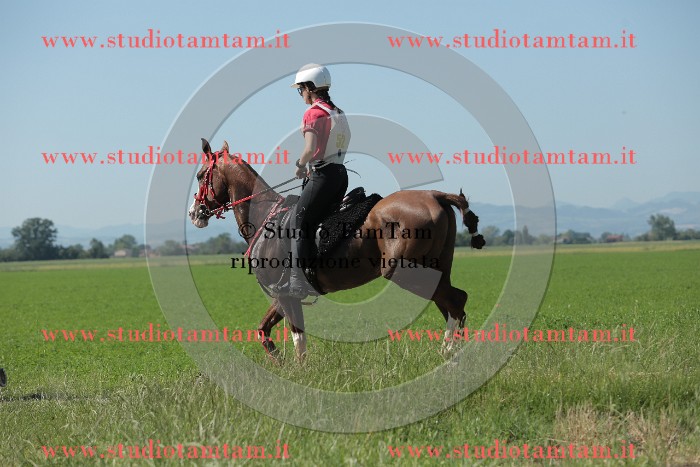 MAT_9651.JPG