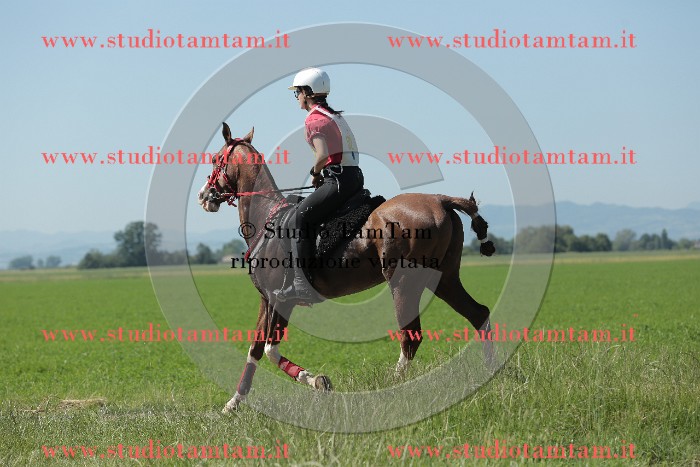 MAT_9652.JPG