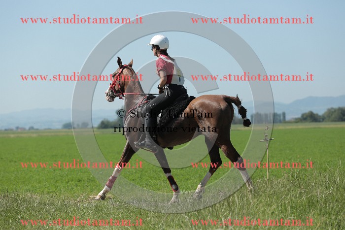 MAT_9653.JPG