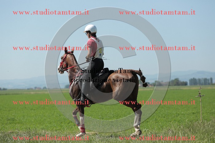 MAT_9654.JPG