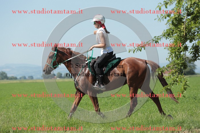 MAT_9655.JPG