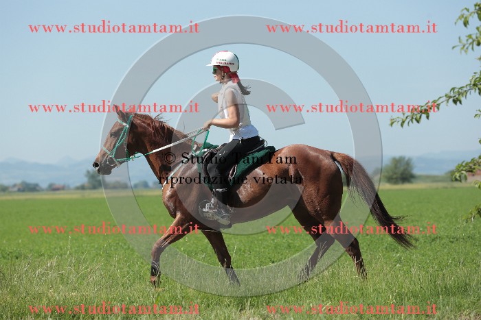 MAT_9656.JPG