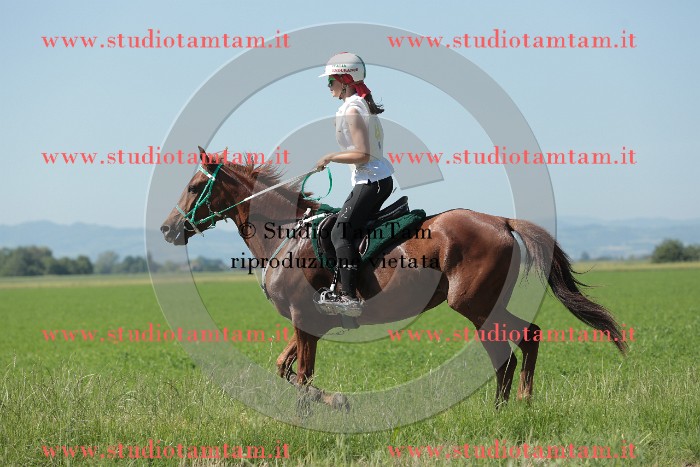 MAT_9657.JPG
