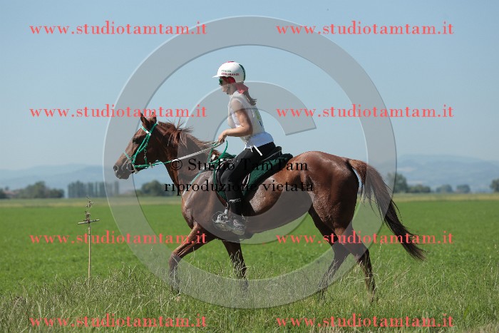MAT_9659.JPG