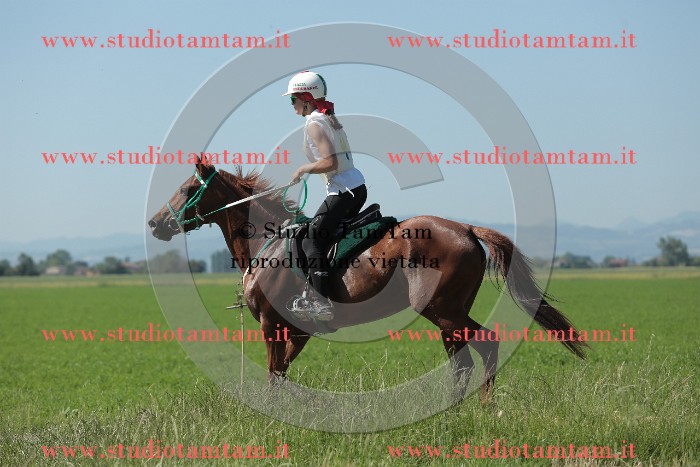 MAT_9660.JPG