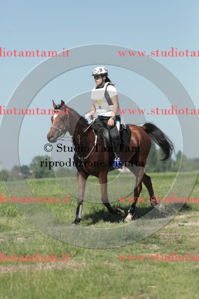 MAT_9663.JPG