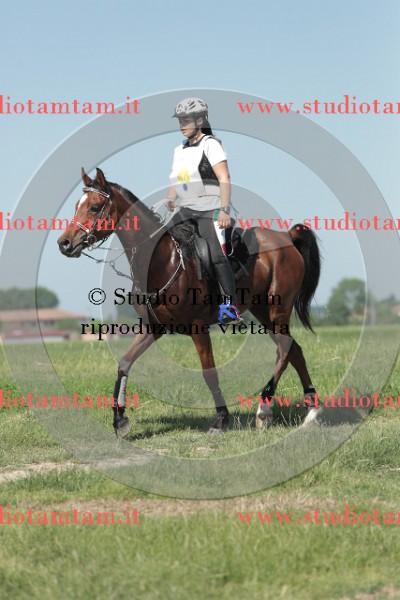 MAT_9666.JPG
