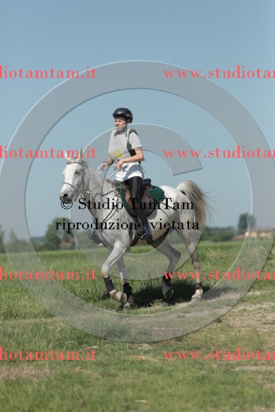 MAT_9670.JPG