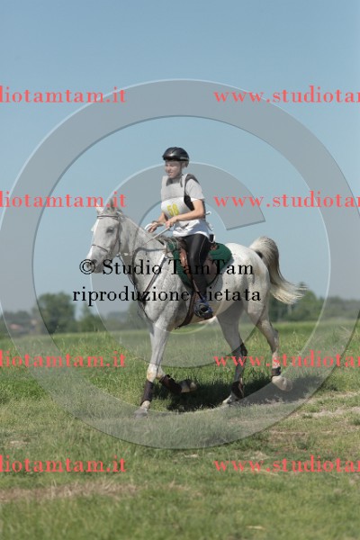 MAT_9671.JPG