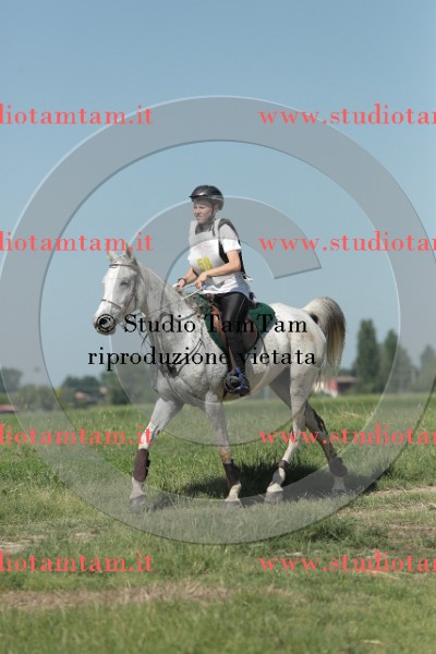 MAT_9672.JPG
