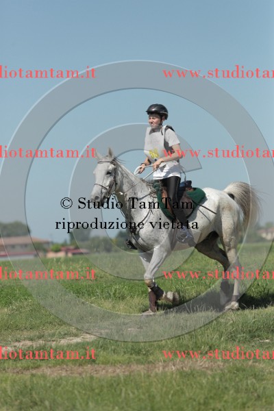 MAT_9673.JPG