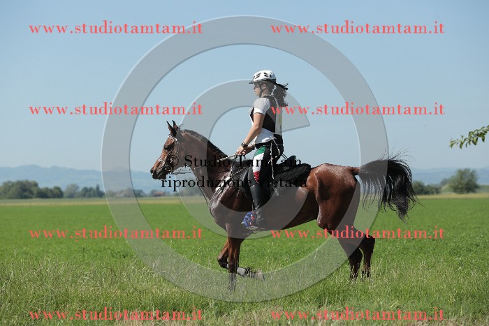 MAT_9676.JPG