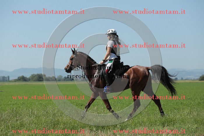 MAT_9677.JPG