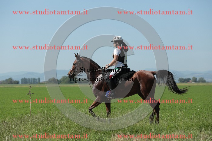 MAT_9678.JPG