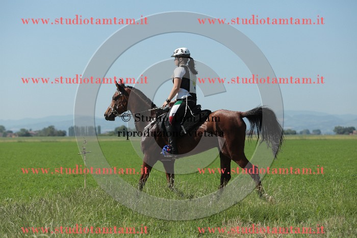 MAT_9679.JPG
