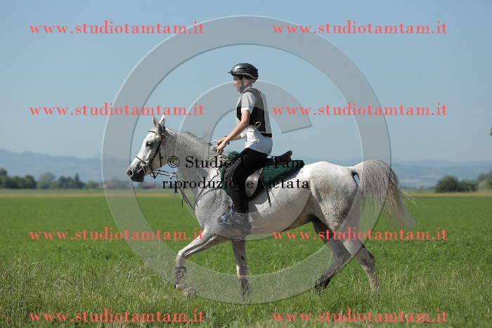 MAT_9681.JPG