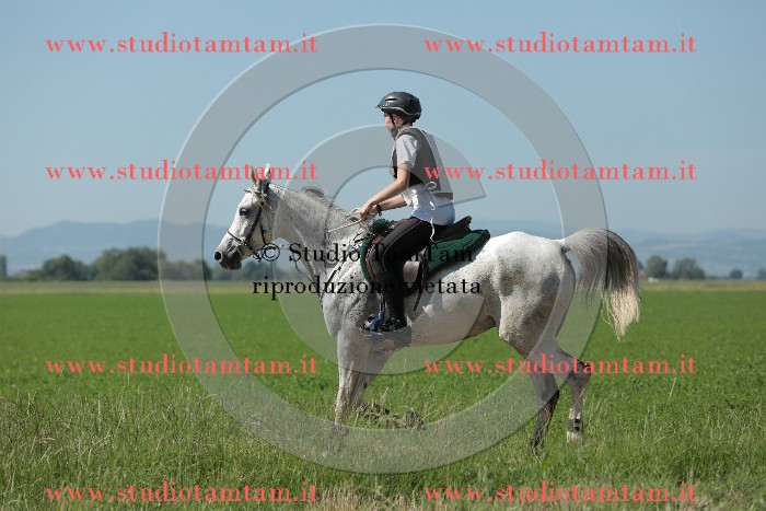 MAT_9682.JPG
