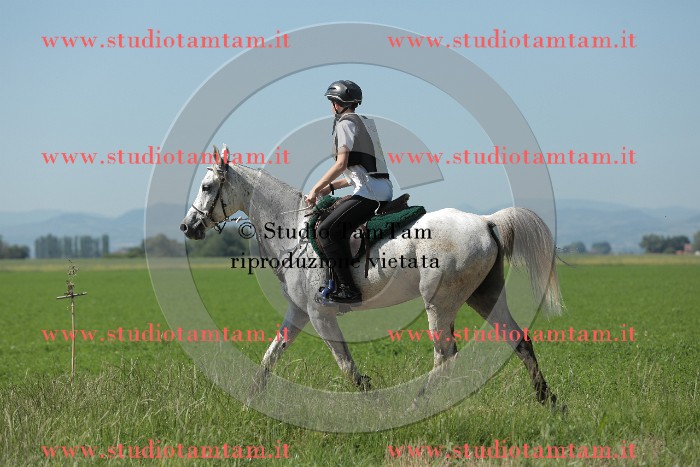 MAT_9683.JPG