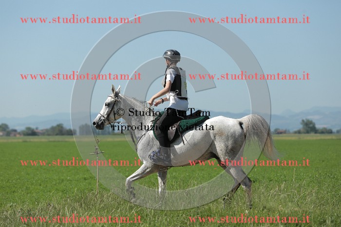 MAT_9684.JPG
