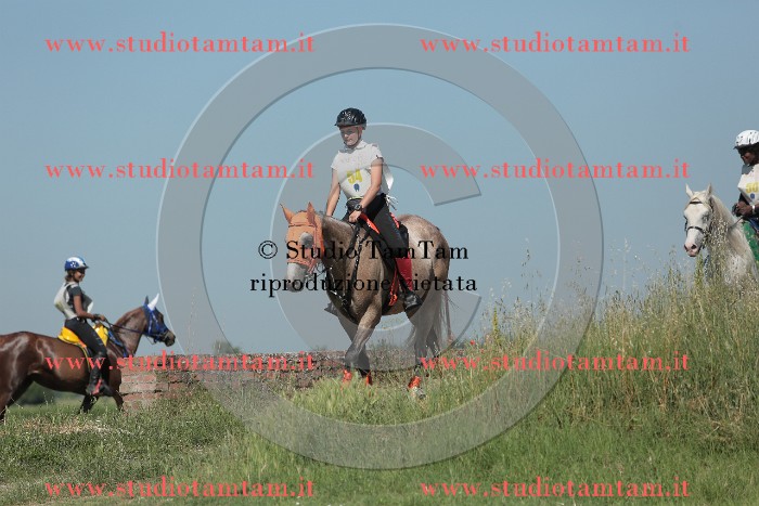 MAT_9697.JPG
