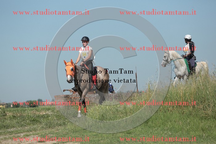 MAT_9698.JPG