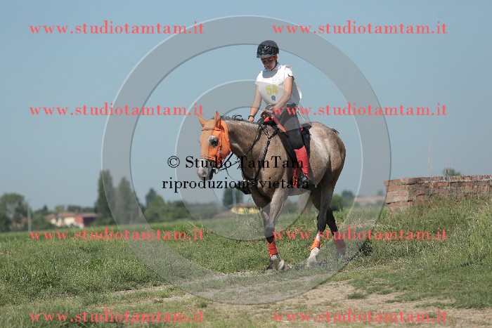 MAT_9699.JPG